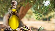 Early Harvest Extra Virgin Olive Oils