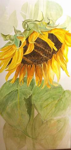 Sunflower Oil Colour
