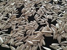 Kernel Sunflower Oil