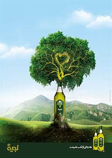 Live Olive Oil