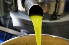 Olive Oil Mill