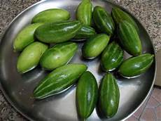 Vegetable Oil Plant